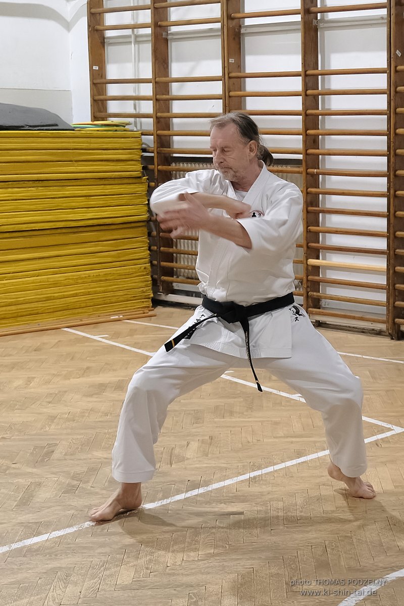 Inklusiver Ryukyu Kobudo Lehrgang mit Thomas Podzelny 6.Dan in Budapest 9.-11.2.2024