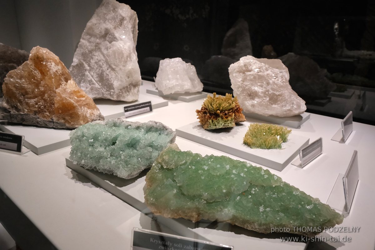 Ryûkyû Kobudô Seminar mit Thomas Podzelny 6.Dan in Krakau/Polen 6.-8.9.2024