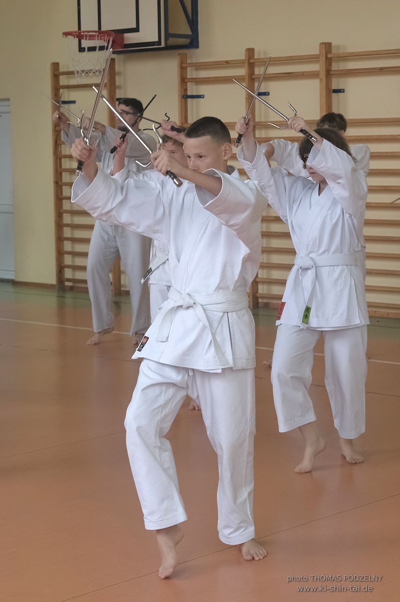 Ryûkyû Kobudô Lehrgang mit Thomas Podzelny 6.Dan in Krakau/Polen 12.-14.9.2025 