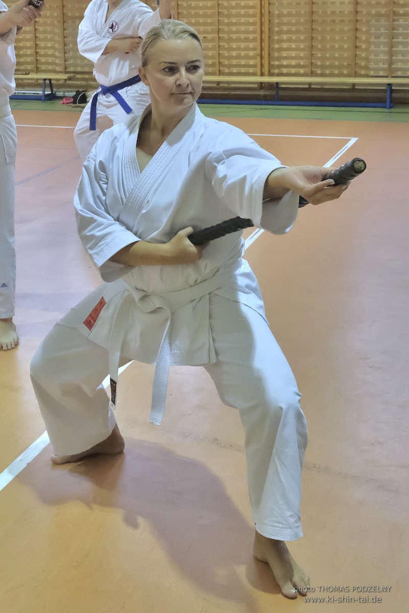 Ryûkyû Kobudô Lehrgang mit Thomas Podzelny 6.Dan in Krakau/Polen 12.-14.9.2025 
