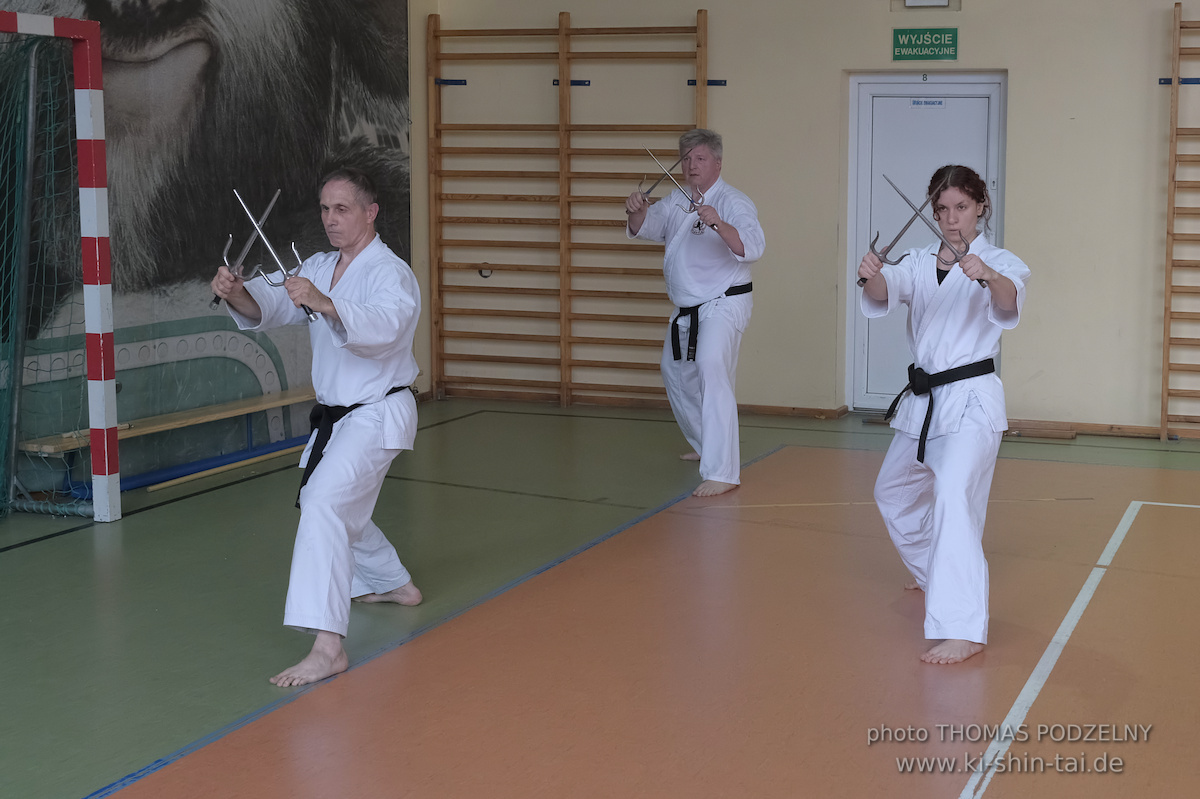 Ryûkyû Kobudô Lehrgang mit Thomas Podzelny 6.Dan in Krakau/Polen 12.-14.9.2025 