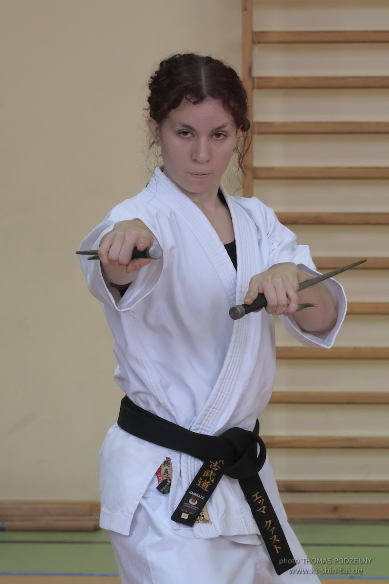 Ryûkyû Kobudô Lehrgang mit Thomas Podzelny 6.Dan in Krakau/Polen 12.-14.9.2025 