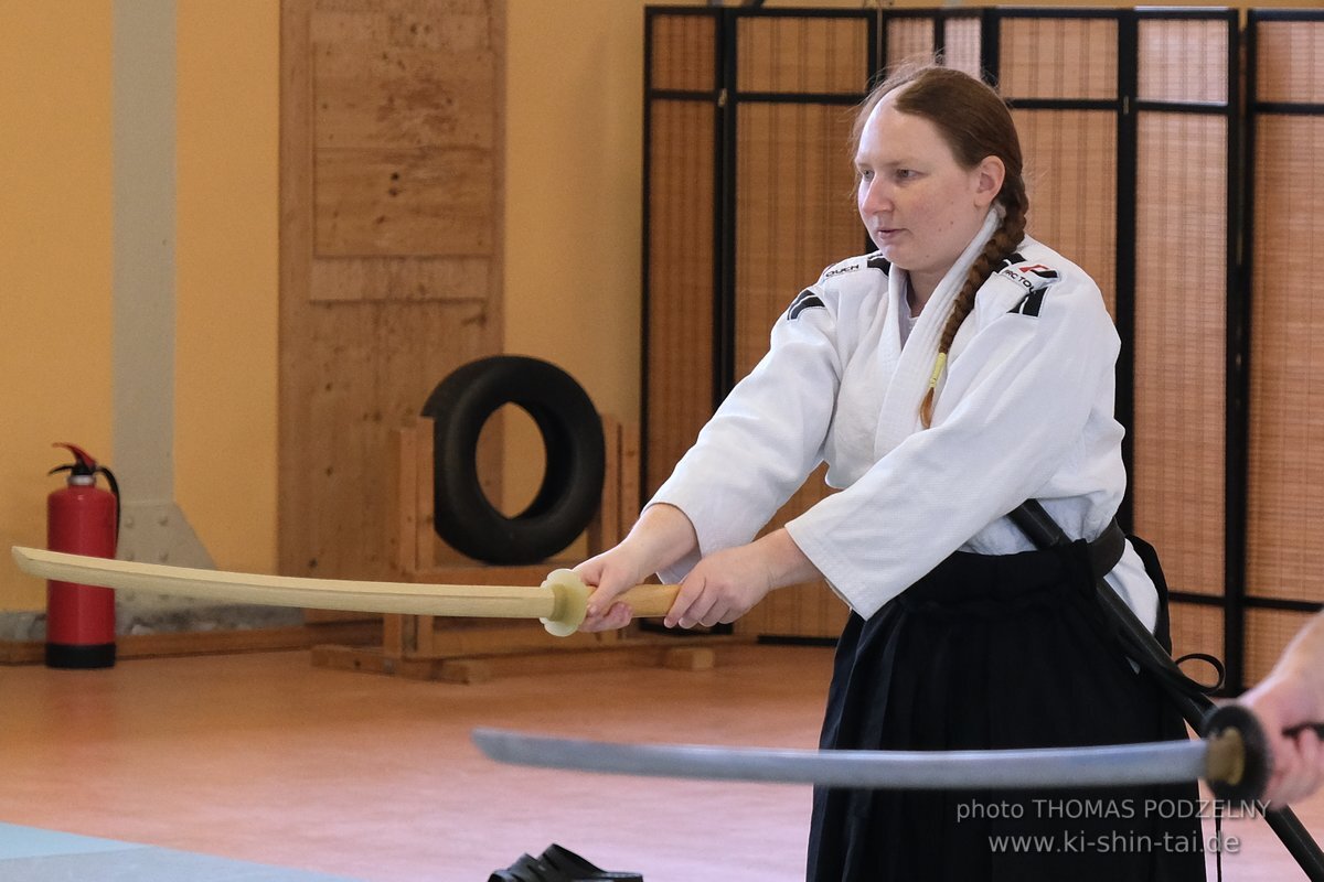 Aikido Tojutsu Seminar Erlangen Thomas Podzelny 27. November 2022