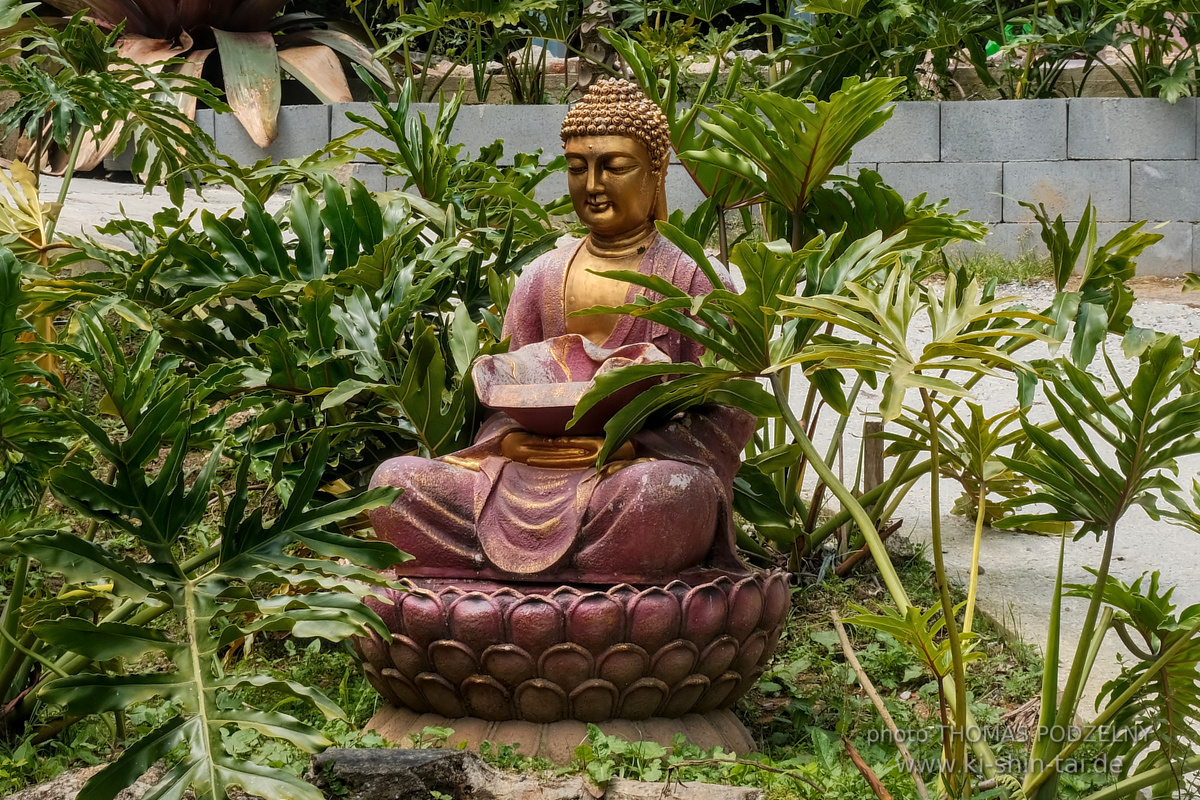 Ryûkyû Kobudô Lehrgang mit Thomas Podzelny in Petropolis/Brasilien 22./23.11.2025