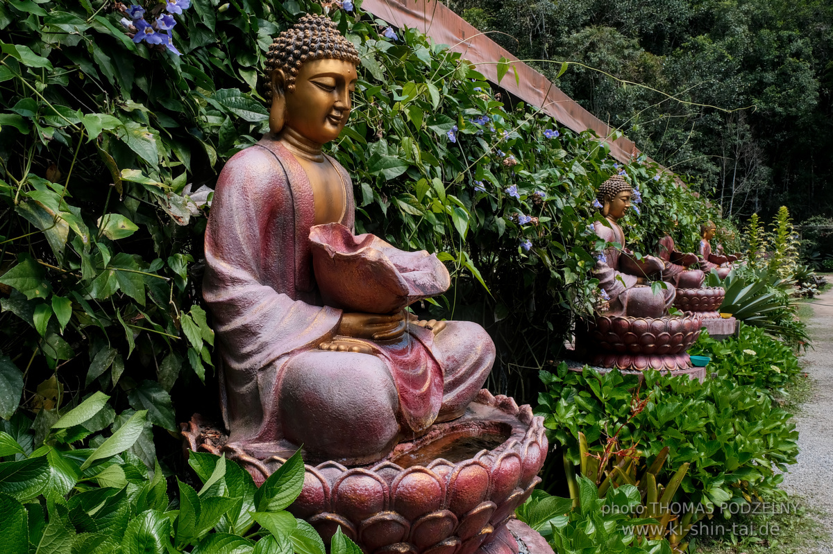 Ryûkyû Kobudô Lehrgang mit Thomas Podzelny in Petropolis/Brasilien 22./23.11.2025