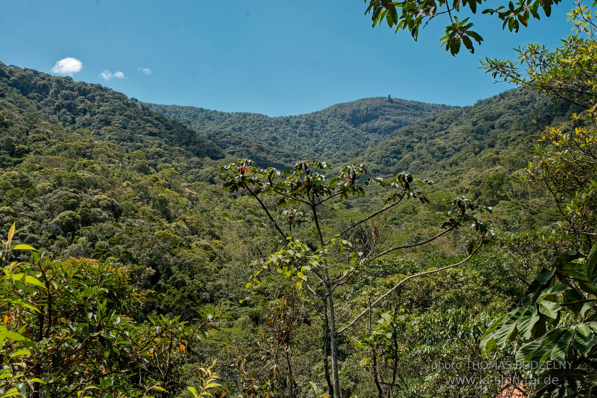 Ryûkyû Kobudô Lehrgang mit Thomas Podzelny in Petropolis/Brasilien 22./23.11.2025