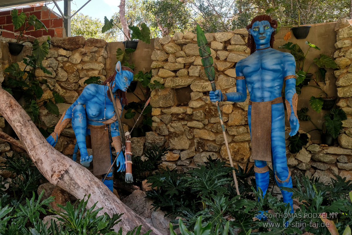 Ryûkyû Kobudô Lehrgang mit Thomas Podzelny in Petropolis/Brasilien 22./23.11.2025