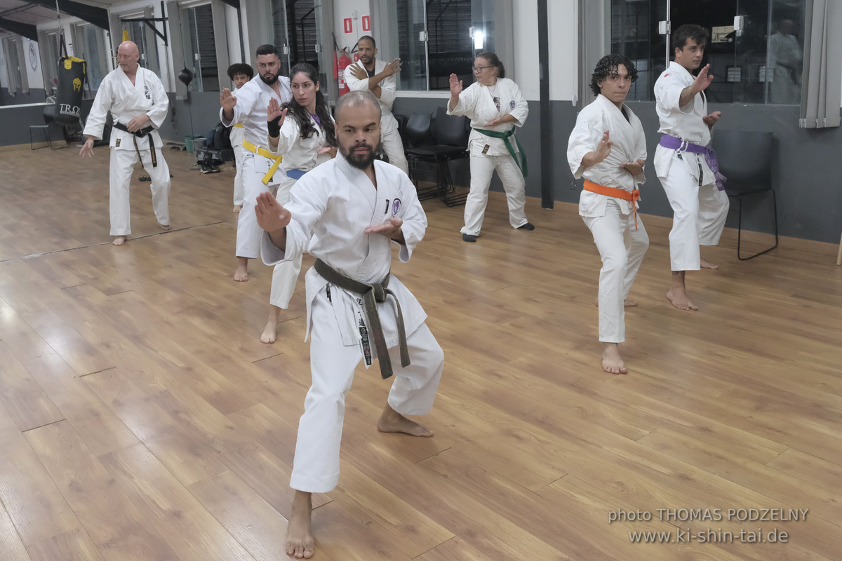 Ryûkyû Kobudô Lehrgang mit Thomas Podzelny in Petropolis/Brasilien 22./23.11.2025