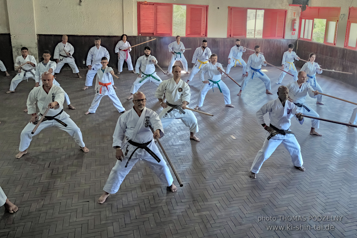 Ryûkyû Kobudô Lehrgang mit Thomas Podzelny in Petropolis/Brasilien 22./23.11.2025