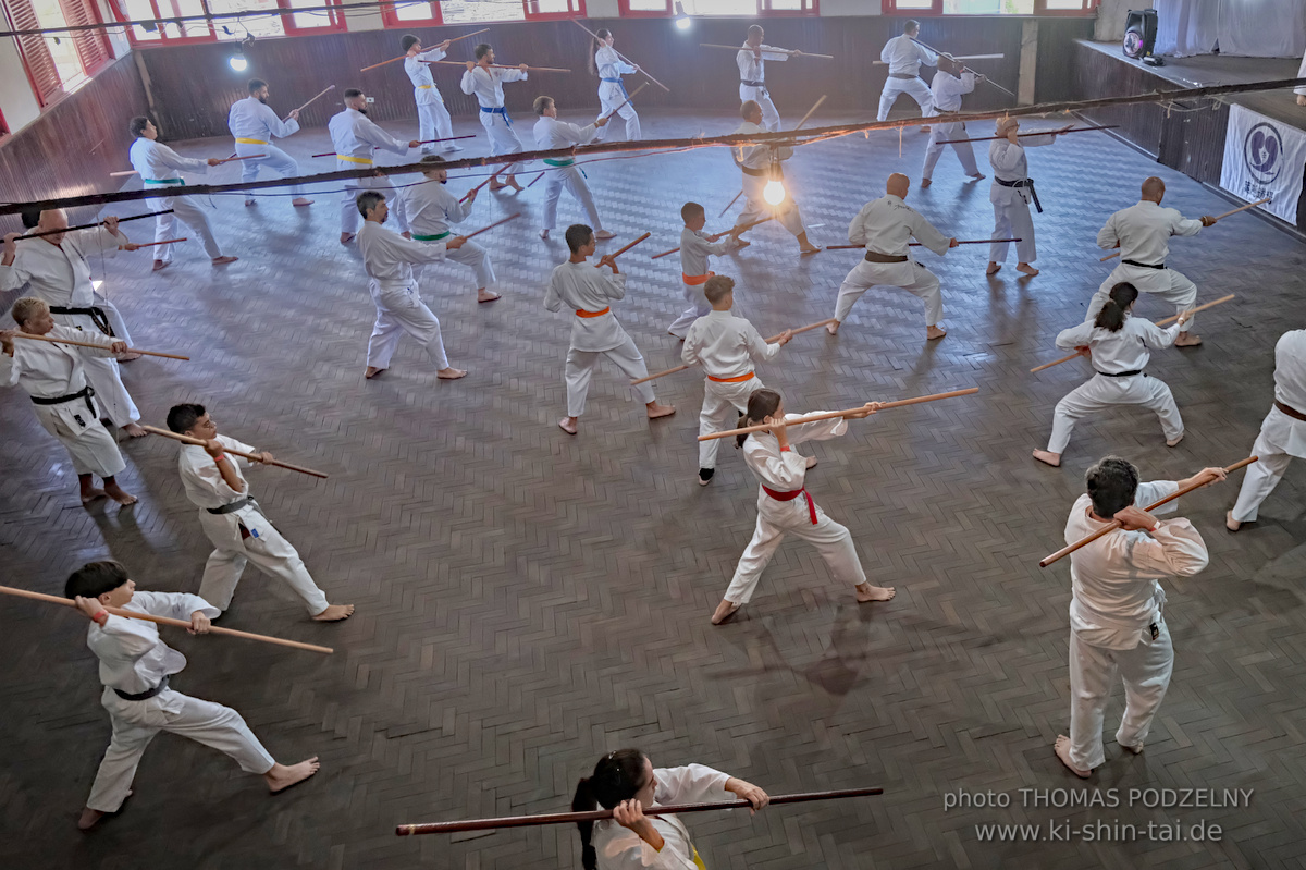 Ryûkyû Kobudô Lehrgang mit Thomas Podzelny in Petropolis/Brasilien 22./23.11.2025