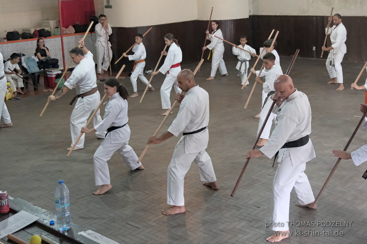 Ryûkyû Kobudô Lehrgang mit Thomas Podzelny in Petropolis/Brasilien 22./23.11.2025