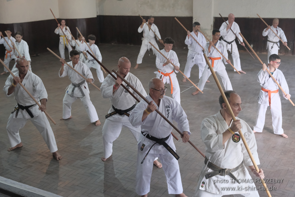 Ryûkyû Kobudô Lehrgang mit Thomas Podzelny in Petropolis/Brasilien 22./23.11.2025
