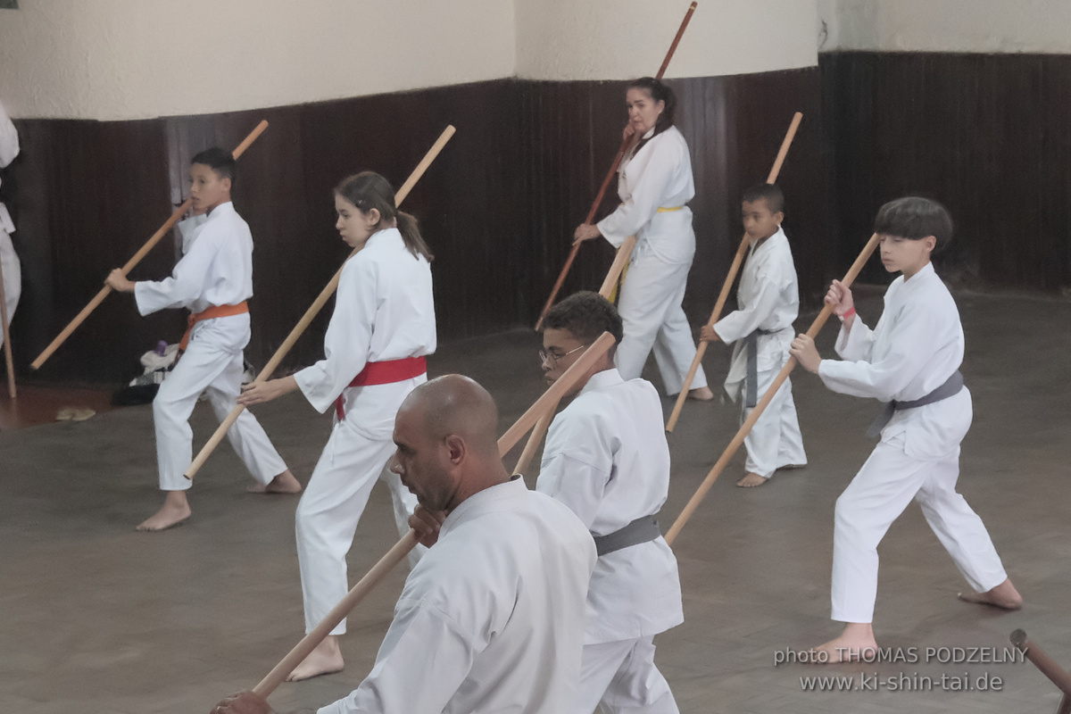 Ryûkyû Kobudô Lehrgang mit Thomas Podzelny in Petropolis/Brasilien 22./23.11.2025