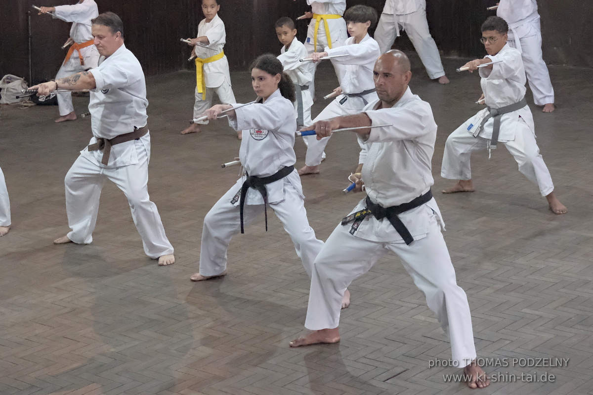 Ryûkyû Kobudô Lehrgang mit Thomas Podzelny in Petropolis/Brasilien 22./23.11.2025