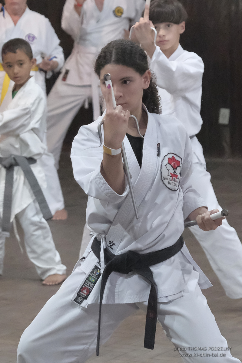 Ryûkyû Kobudô Lehrgang mit Thomas Podzelny in Petropolis/Brasilien 22./23.11.2025