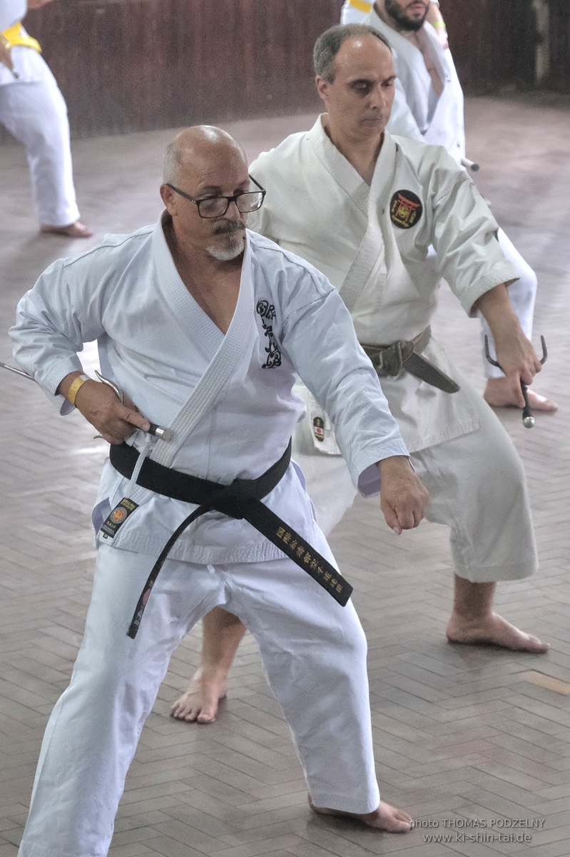 Ryûkyû Kobudô Lehrgang mit Thomas Podzelny in Petropolis/Brasilien 22./23.11.2025