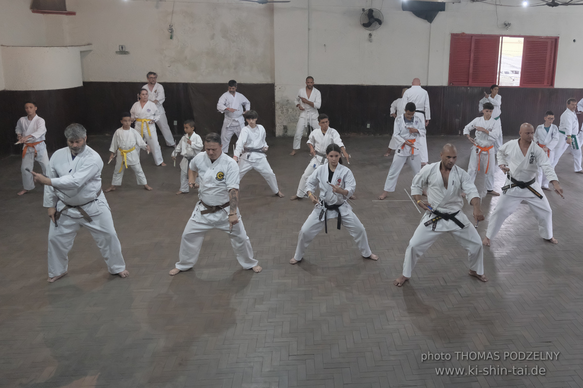 Ryûkyû Kobudô Lehrgang mit Thomas Podzelny in Petropolis/Brasilien 22./23.11.2025