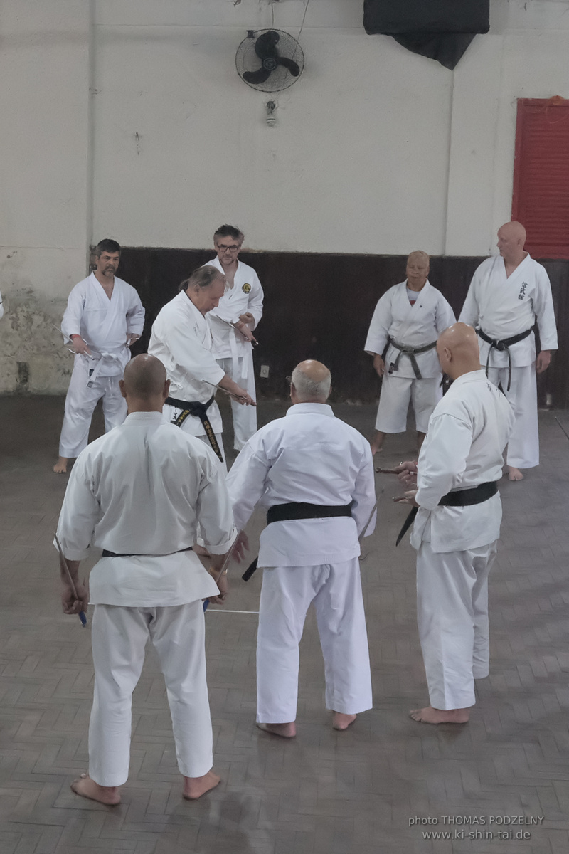 Ryûkyû Kobudô Lehrgang mit Thomas Podzelny in Petropolis/Brasilien 22./23.11.2025