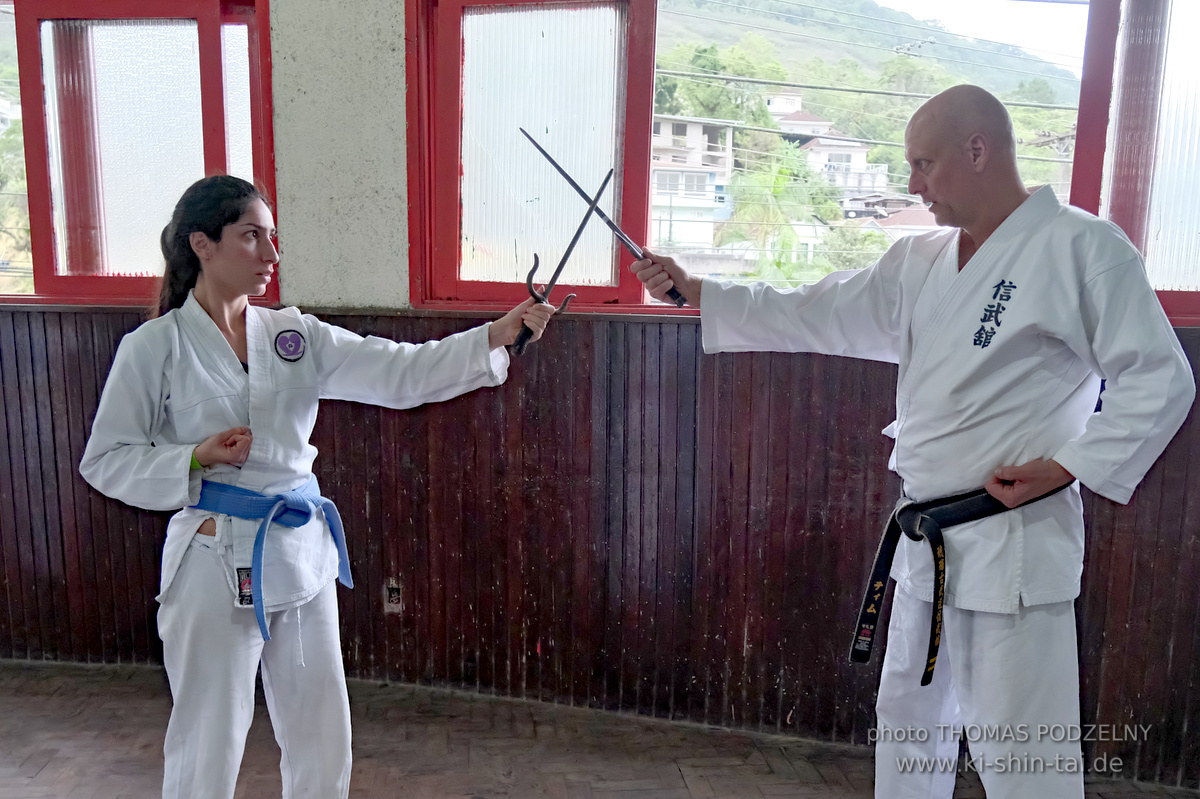 Ryûkyû Kobudô Lehrgang mit Thomas Podzelny in Petropolis/Brasilien 22./23.11.2025