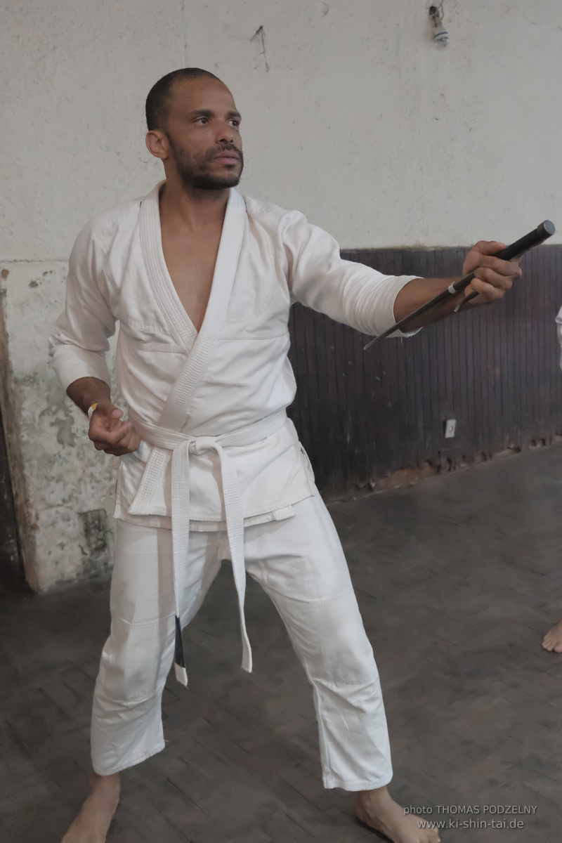 Ryûkyû Kobudô Lehrgang mit Thomas Podzelny in Petropolis/Brasilien 22./23.11.2025