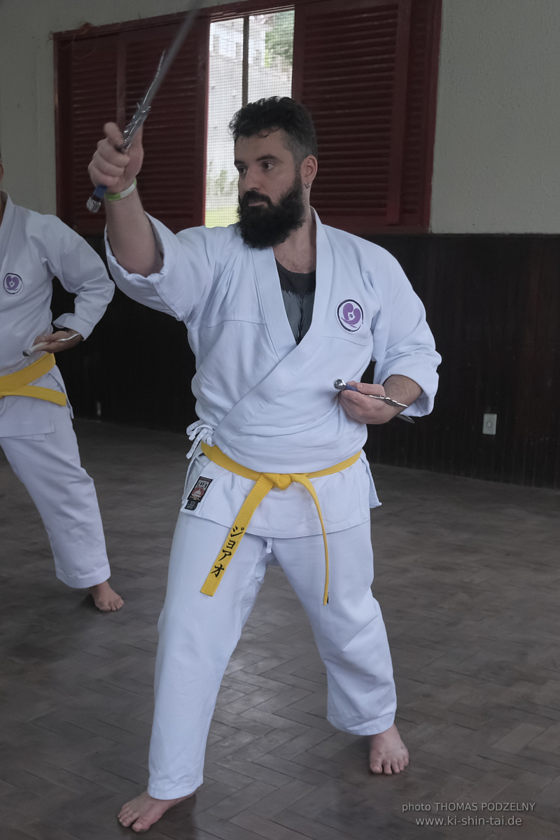 Ryûkyû Kobudô Lehrgang mit Thomas Podzelny in Petropolis/Brasilien 22./23.11.2025