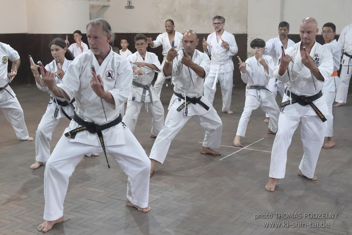 Ryûkyû Kobudô Lehrgang mit Thomas Podzelny in Petropolis/Brasilien 22./23.11.2025