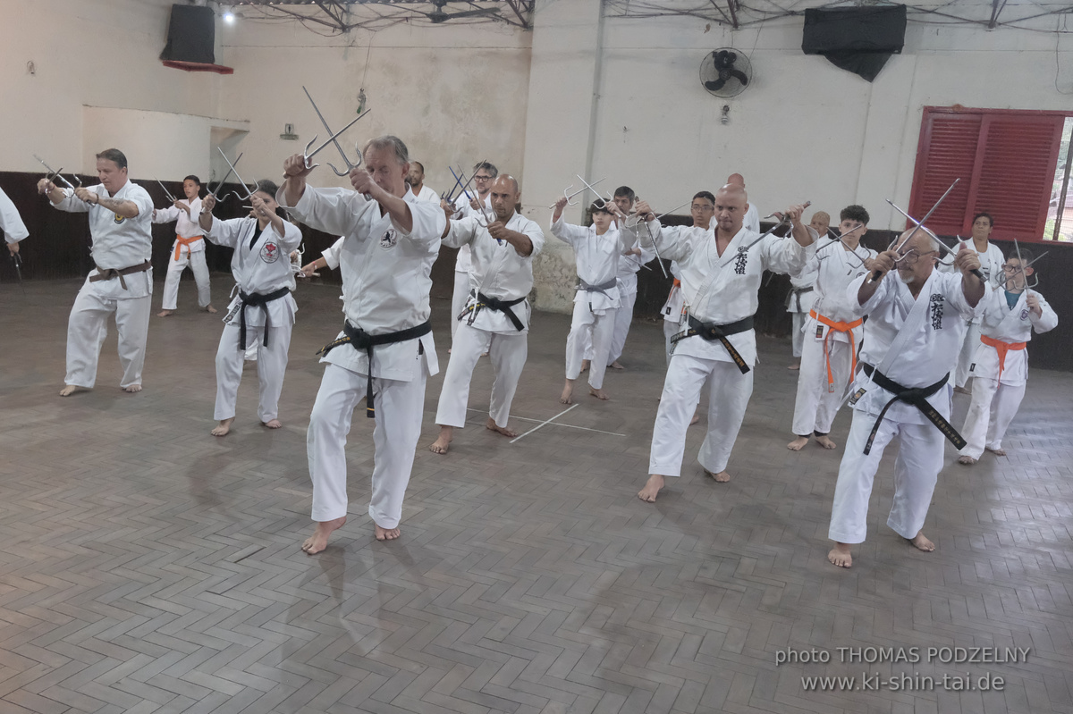 Ryûkyû Kobudô Lehrgang mit Thomas Podzelny in Petropolis/Brasilien 22./23.11.2025