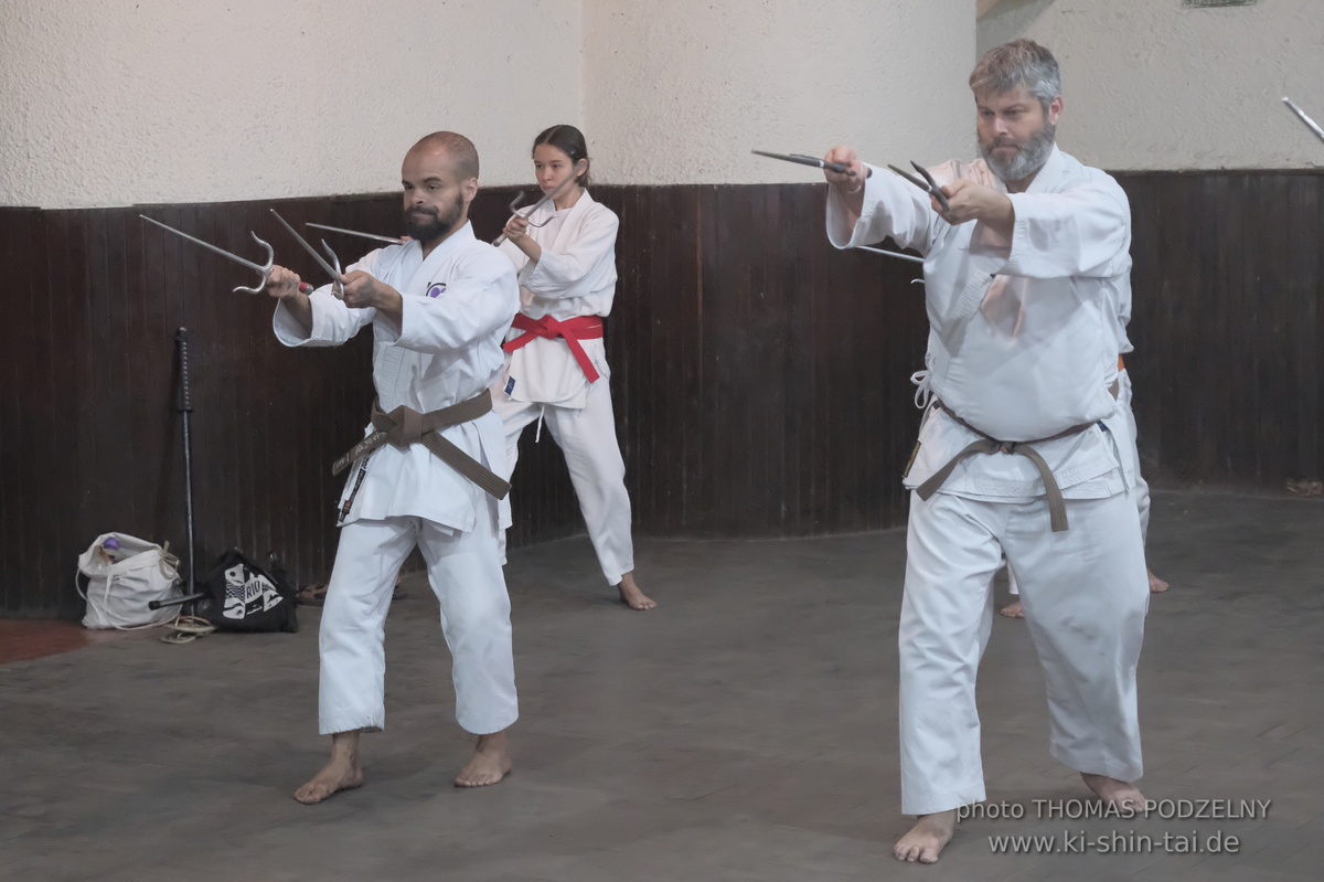 Ryûkyû Kobudô Lehrgang mit Thomas Podzelny in Petropolis/Brasilien 22./23.11.2025