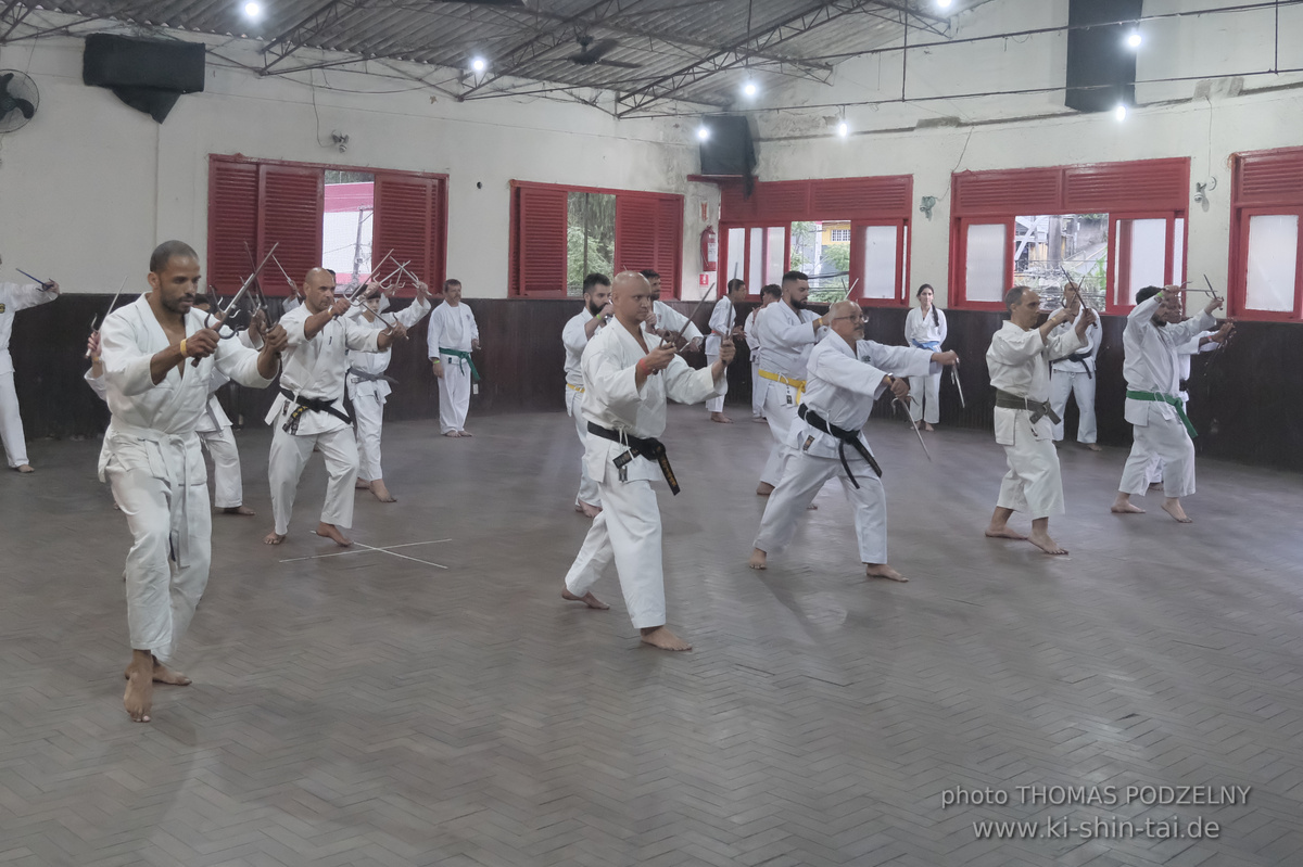 Ryûkyû Kobudô Lehrgang mit Thomas Podzelny in Petropolis/Brasilien 22./23.11.2025