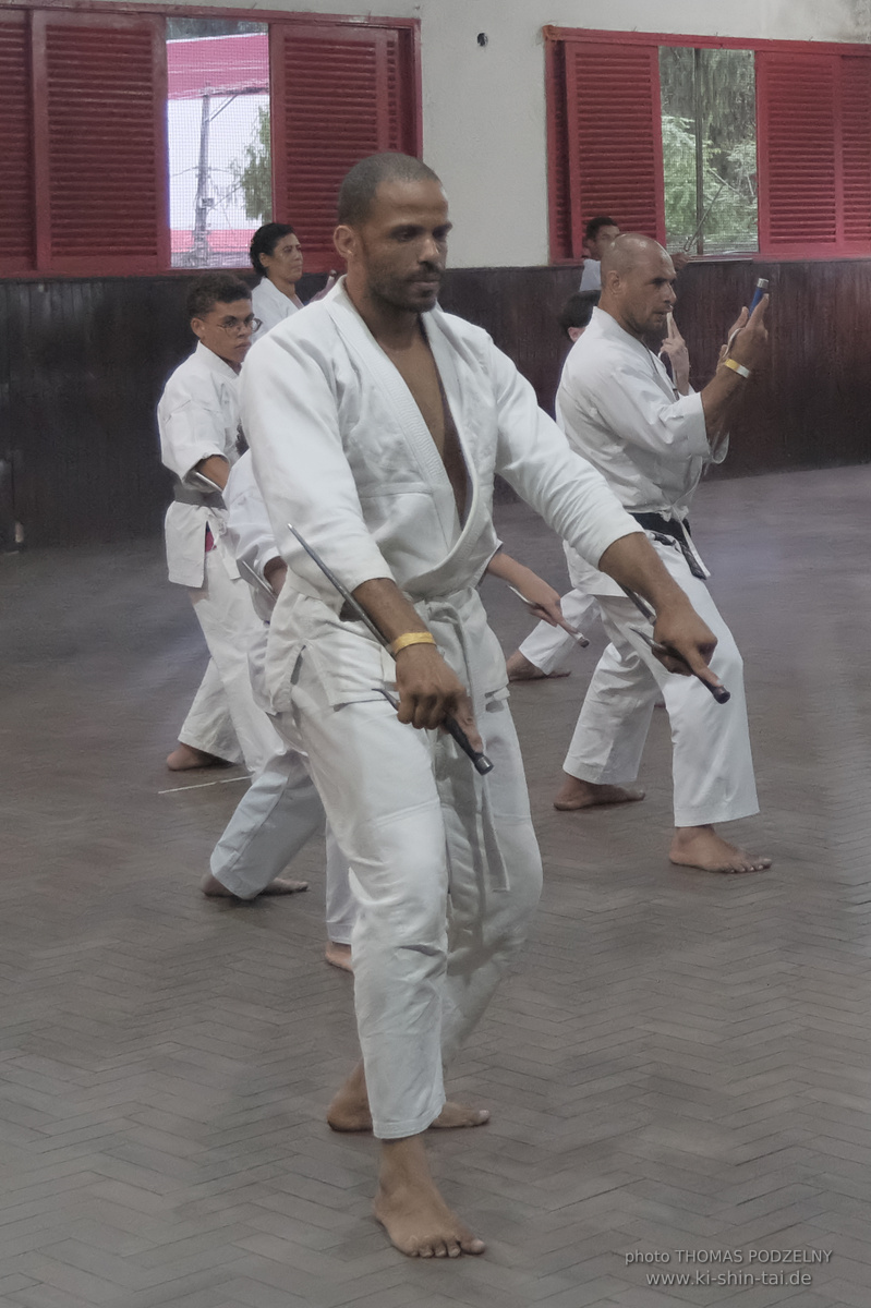 Ryûkyû Kobudô Lehrgang mit Thomas Podzelny in Petropolis/Brasilien 22./23.11.2025
