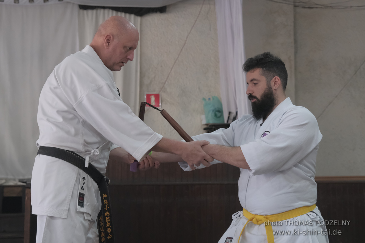 Ryûkyû Kobudô Lehrgang mit Thomas Podzelny in Petropolis/Brasilien 22./23.11.2025