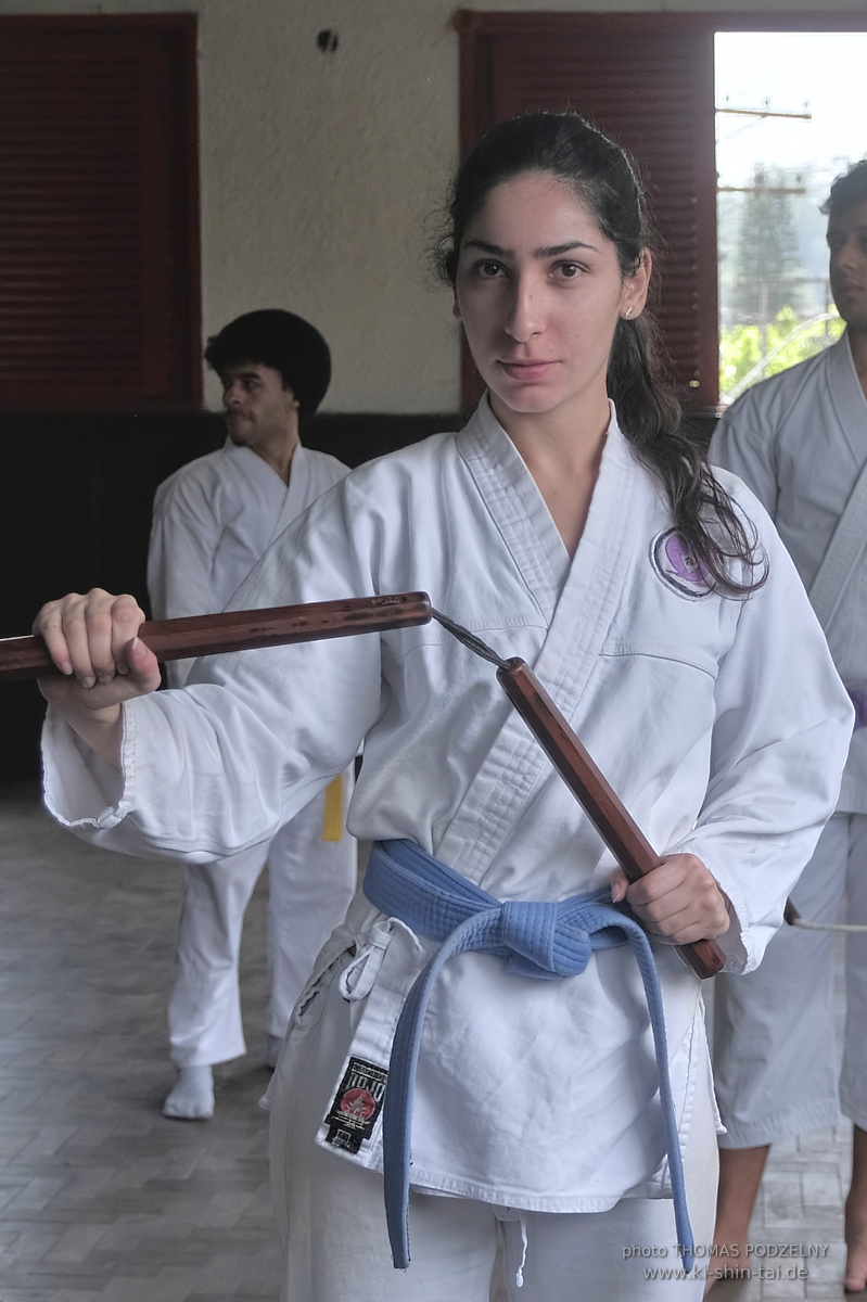 Ryûkyû Kobudô Lehrgang mit Thomas Podzelny in Petropolis/Brasilien 22./23.11.2025