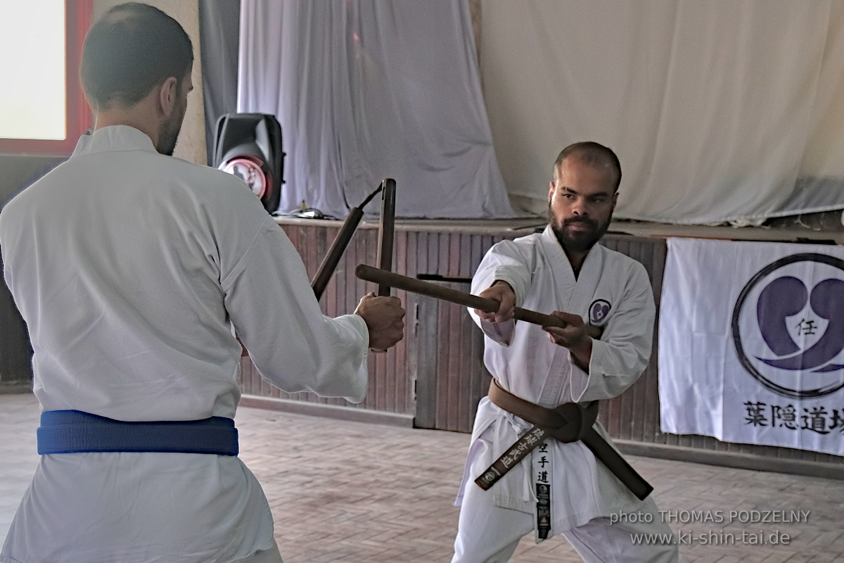 Ryûkyû Kobudô Lehrgang mit Thomas Podzelny in Petropolis/Brasilien 22./23.11.2025