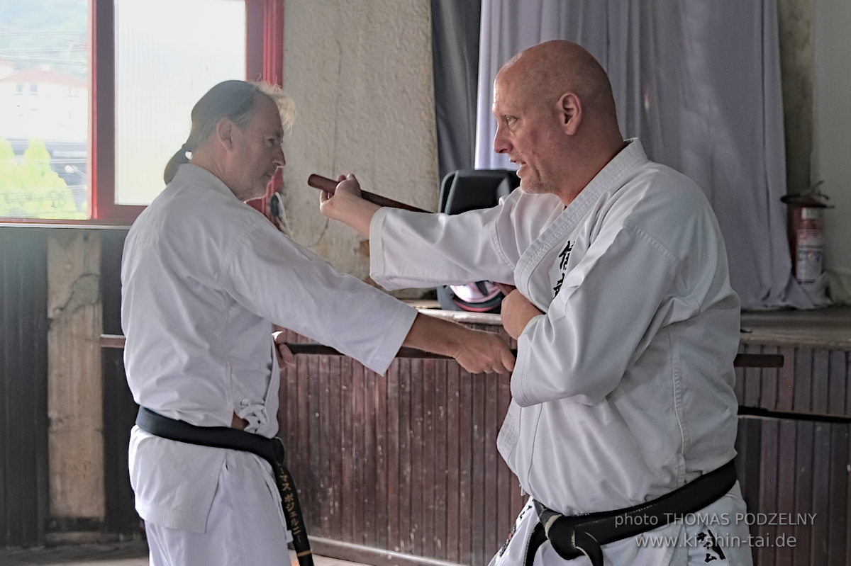 Ryûkyû Kobudô Lehrgang mit Thomas Podzelny in Petropolis/Brasilien 22./23.11.2025