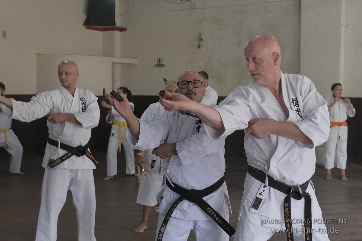 Ryûkyû Kobudô Lehrgang mit Thomas Podzelny in Petropolis/Brasilien 22./23.11.2025