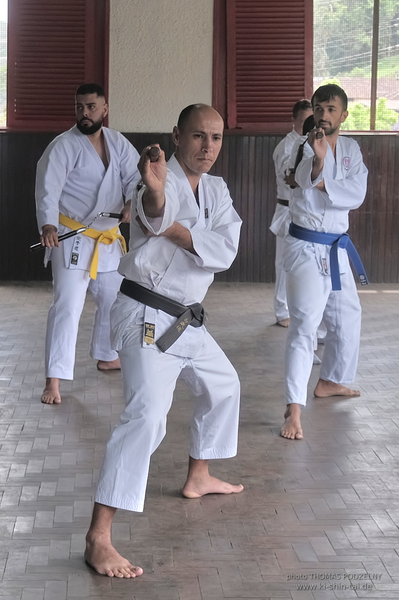Ryûkyû Kobudô Lehrgang mit Thomas Podzelny in Petropolis/Brasilien 22./23.11.2025