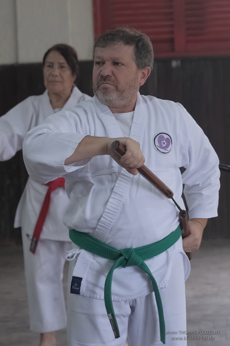 Ryûkyû Kobudô Lehrgang mit Thomas Podzelny in Petropolis/Brasilien 22./23.11.2025