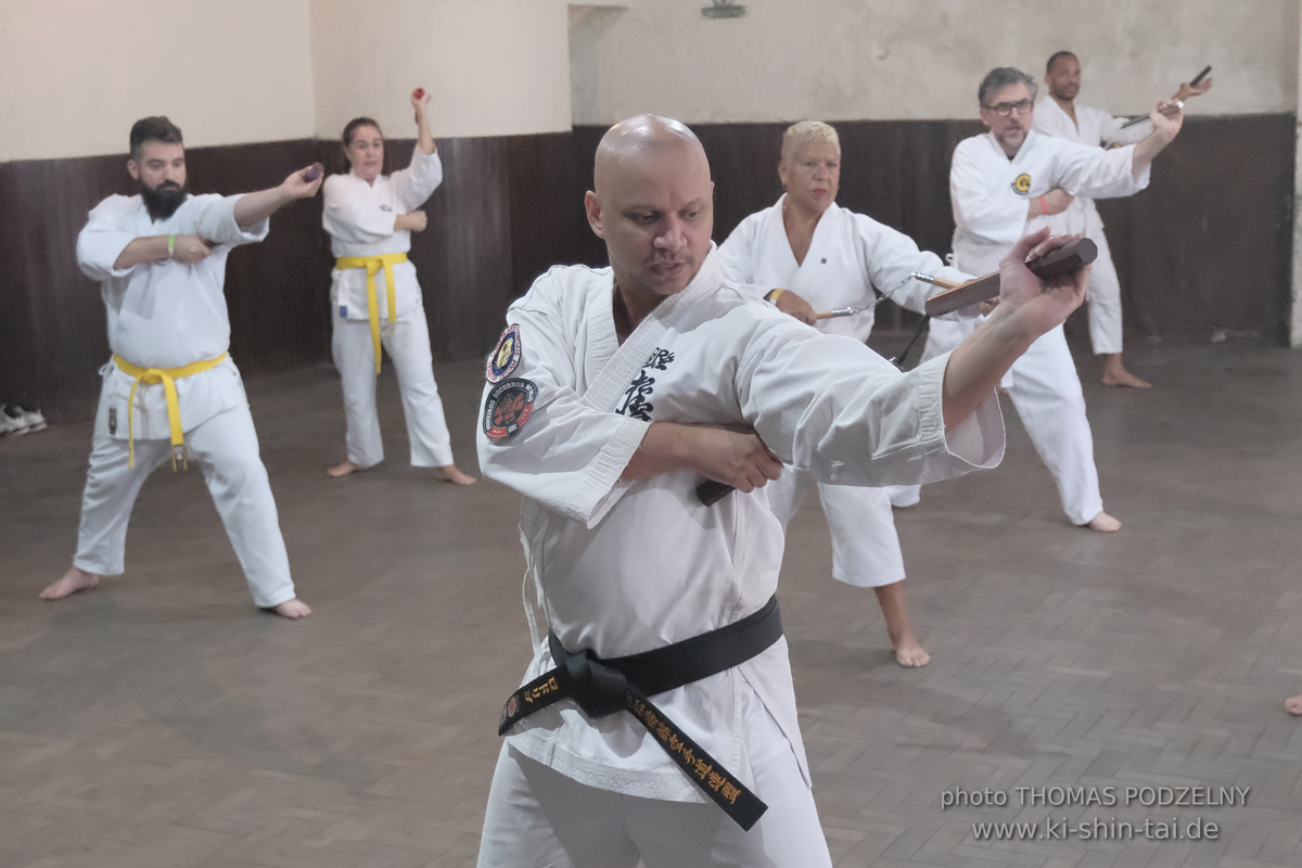 Ryûkyû Kobudô Lehrgang mit Thomas Podzelny in Petropolis/Brasilien 22./23.11.2025