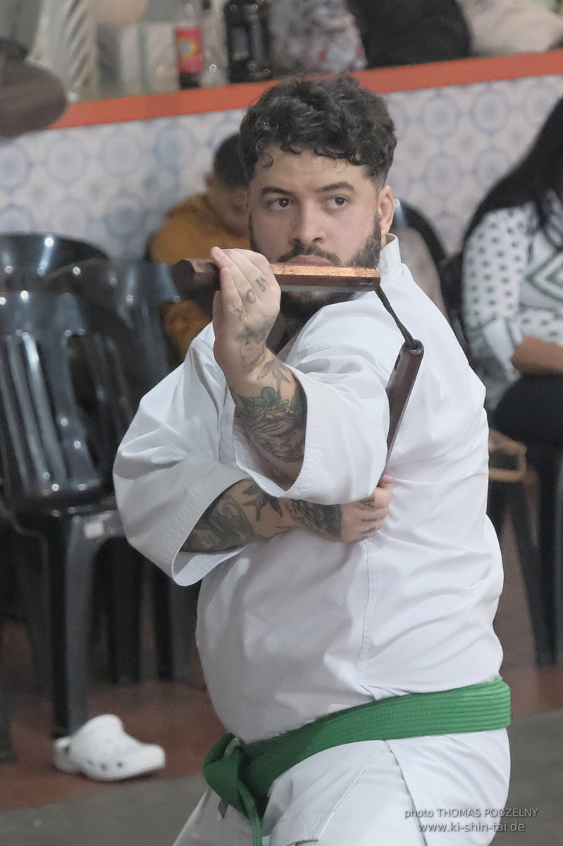 Ryûkyû Kobudô Lehrgang mit Thomas Podzelny in Petropolis/Brasilien 22./23.11.2025