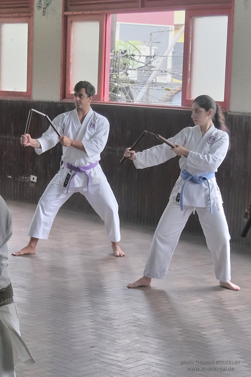 Ryûkyû Kobudô Lehrgang mit Thomas Podzelny in Petropolis/Brasilien 22./23.11.2025