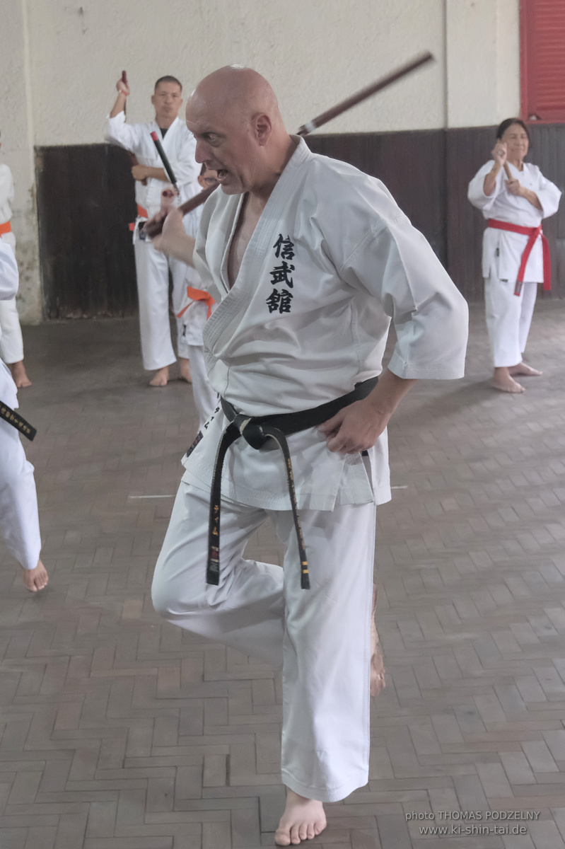 Ryûkyû Kobudô Lehrgang mit Thomas Podzelny in Petropolis/Brasilien 22./23.11.2025