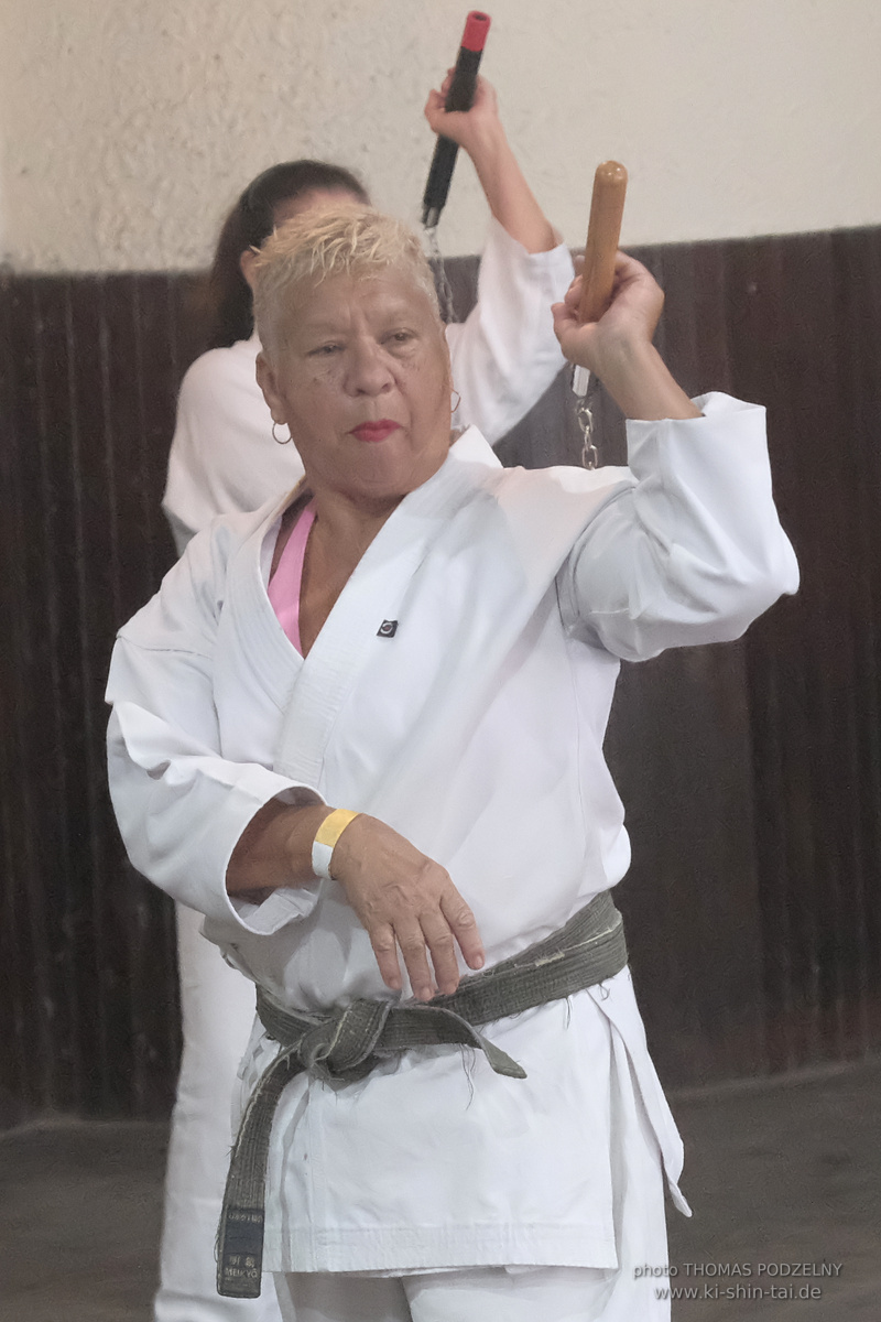 Ryûkyû Kobudô Lehrgang mit Thomas Podzelny in Petropolis/Brasilien 22./23.11.2025