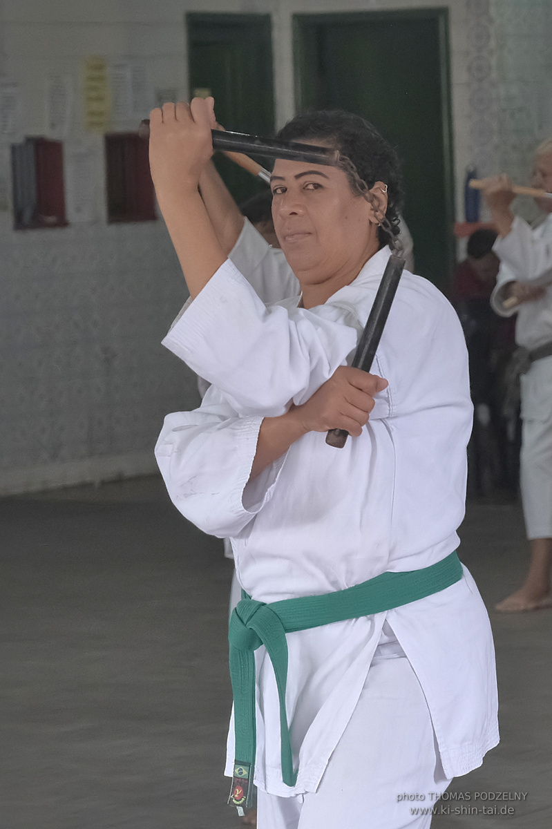 Ryûkyû Kobudô Lehrgang mit Thomas Podzelny in Petropolis/Brasilien 22./23.11.2025