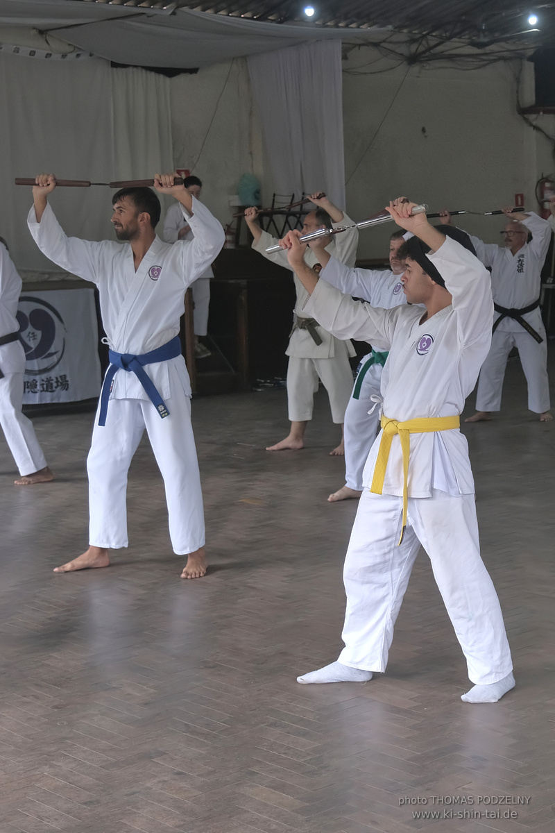 Ryûkyû Kobudô Lehrgang mit Thomas Podzelny in Petropolis/Brasilien 22./23.11.2025