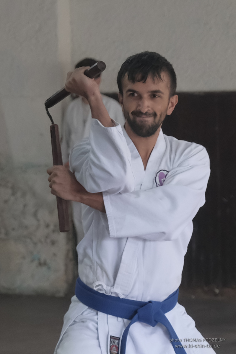 Ryûkyû Kobudô Lehrgang mit Thomas Podzelny in Petropolis/Brasilien 22./23.11.2025