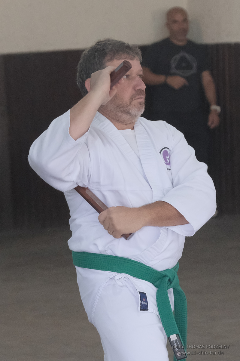 Ryûkyû Kobudô Lehrgang mit Thomas Podzelny in Petropolis/Brasilien 22./23.11.2025