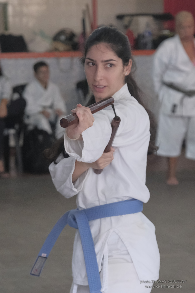 Ryûkyû Kobudô Lehrgang mit Thomas Podzelny in Petropolis/Brasilien 22./23.11.2025