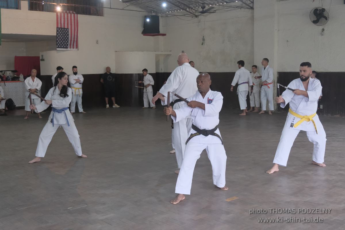 Ryûkyû Kobudô Lehrgang mit Thomas Podzelny in Petropolis/Brasilien 22./23.11.2025