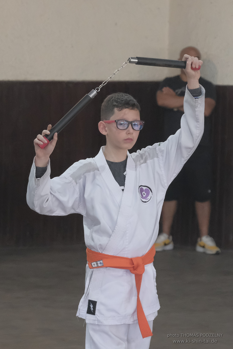 Ryûkyû Kobudô Lehrgang mit Thomas Podzelny in Petropolis/Brasilien 22./23.11.2025