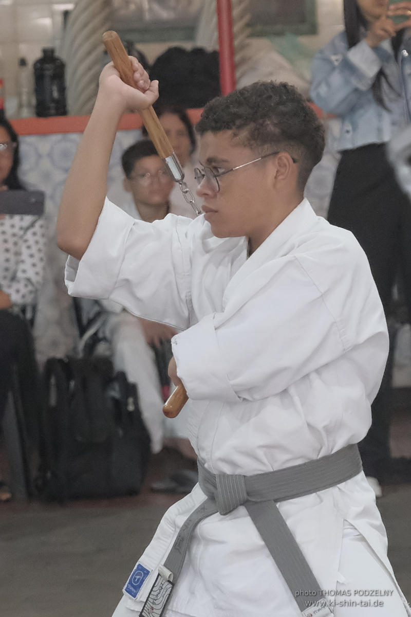 Ryûkyû Kobudô Lehrgang mit Thomas Podzelny in Petropolis/Brasilien 22./23.11.2025